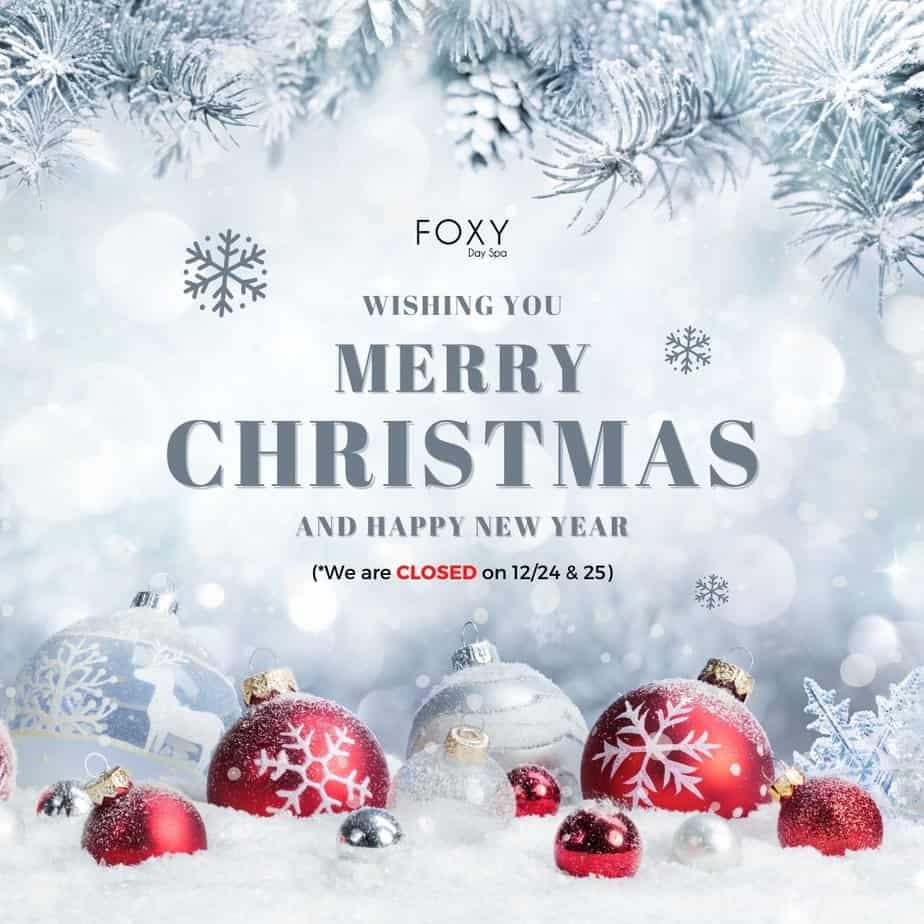 foxy-day-spa-ann-arbor-nail-salon-ann-arbor-nail-salon-mi-48103-happy-christmas-new-year-121923